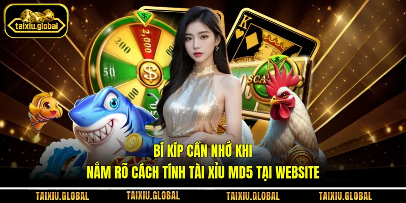 Bí kíp cần nhớ khi nắm rõ cách tính tài xỉu MD5 tại website