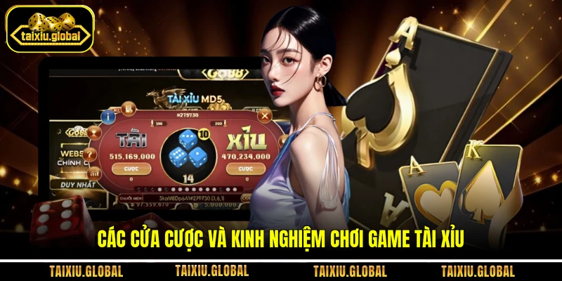 Các cửa cược và kinh nghiệm chơi game tài xỉu