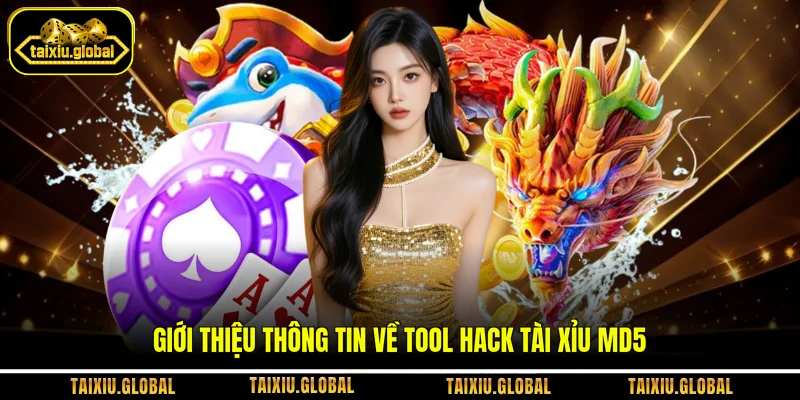 Giới thiệu thông tin về tool hack tài xỉu MD5