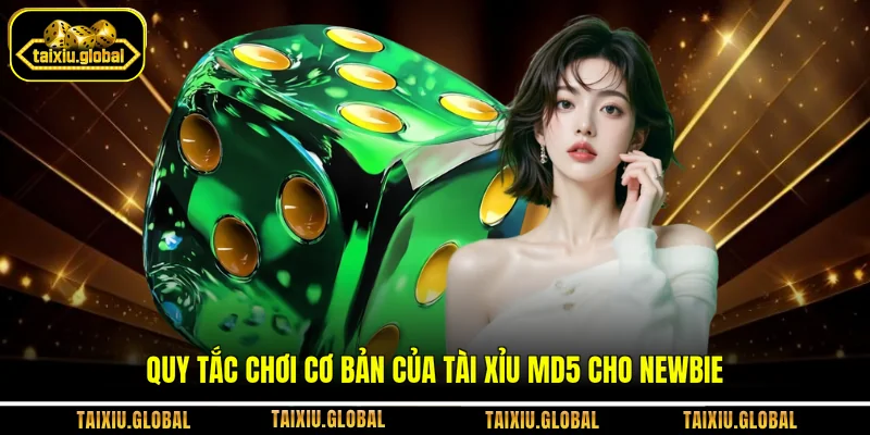 Quy tắc chơi cơ bản của tài xỉu MD5 cho newbie