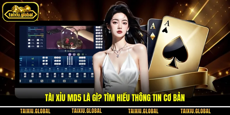 Tài xỉu MD5 là gì? Tìm hiểu thông tin cơ bản
