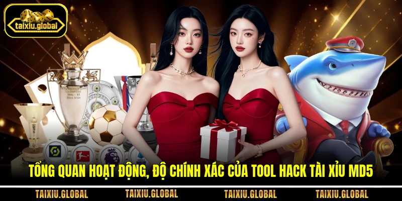 Tổng quan hoạt động, độ chính xác của tool hack tài xỉu MD5